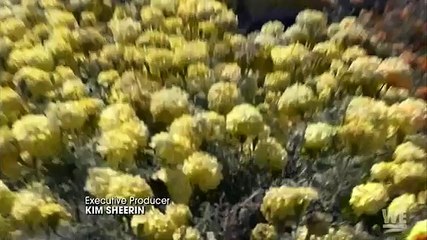 Kendra On Top S05E03 Where's the Beef?