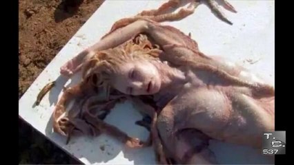 Sirena Real Grabada En Mexico