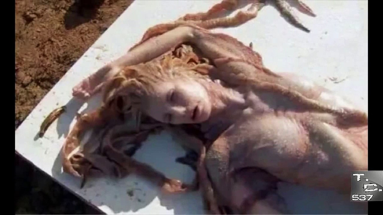 Sirena Real Grabada En Mexico