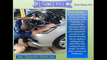 Paintless Dent Repair in Florida