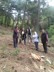 Soma'da ağaç nöbeti, köylülerden destek çağrısı