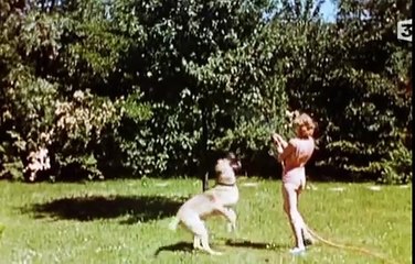 Dossier Hitler : Le rapport cret commandé par Staline documentaire français inédit