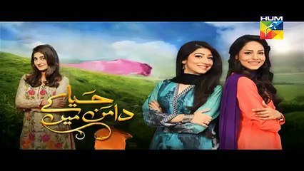 Haya-Kay-Daman-Main-Episode-19-Promo-HUM-TV-Drama-22-April-2016