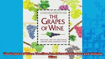 Free PDF Downlaod  The Grapes of Wine The Fine Art of Growing Grapes and Making Wine READ ONLINE