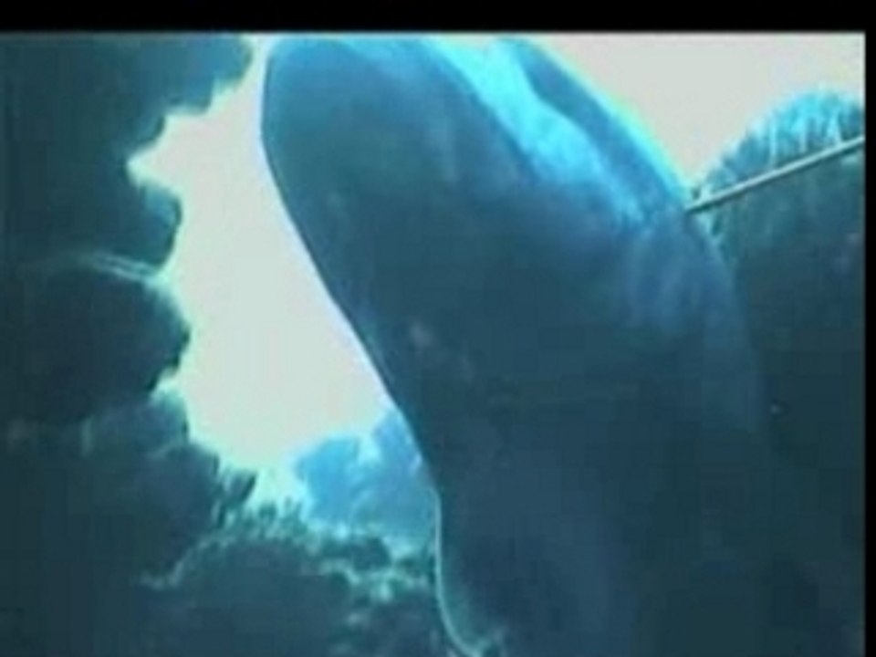 Hanapaa Commercial