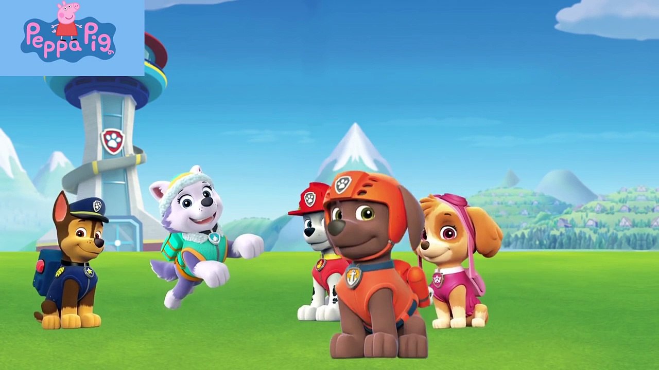 Peppa Pig Transforms Paw Patrol Finger Family Peppa Pig English episodes