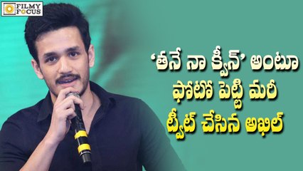 Akhil Akineni Shares his Real Life Queen Pics on Twitter - Filmyfocus.com