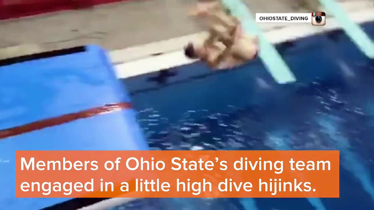 This looks crazy fun! Would you try it