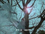 郭靜_在樹上唱歌 官方版60秒MV
