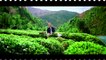 Doğuş Çay Tolga Sarıtaş Reklam Filmi - Doğuştan Soğuk Çay