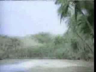 Mr.President Coco Jambo