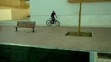 xalto__2__putox_