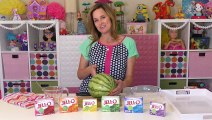 Jello Rainbow GUMMY Watermelon | New DIY DCTC Kid Videos