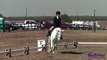 192D Brooke Toomey JR Intro Beginner Novice Dressage Ram Tap Horse Trials Oct 2012