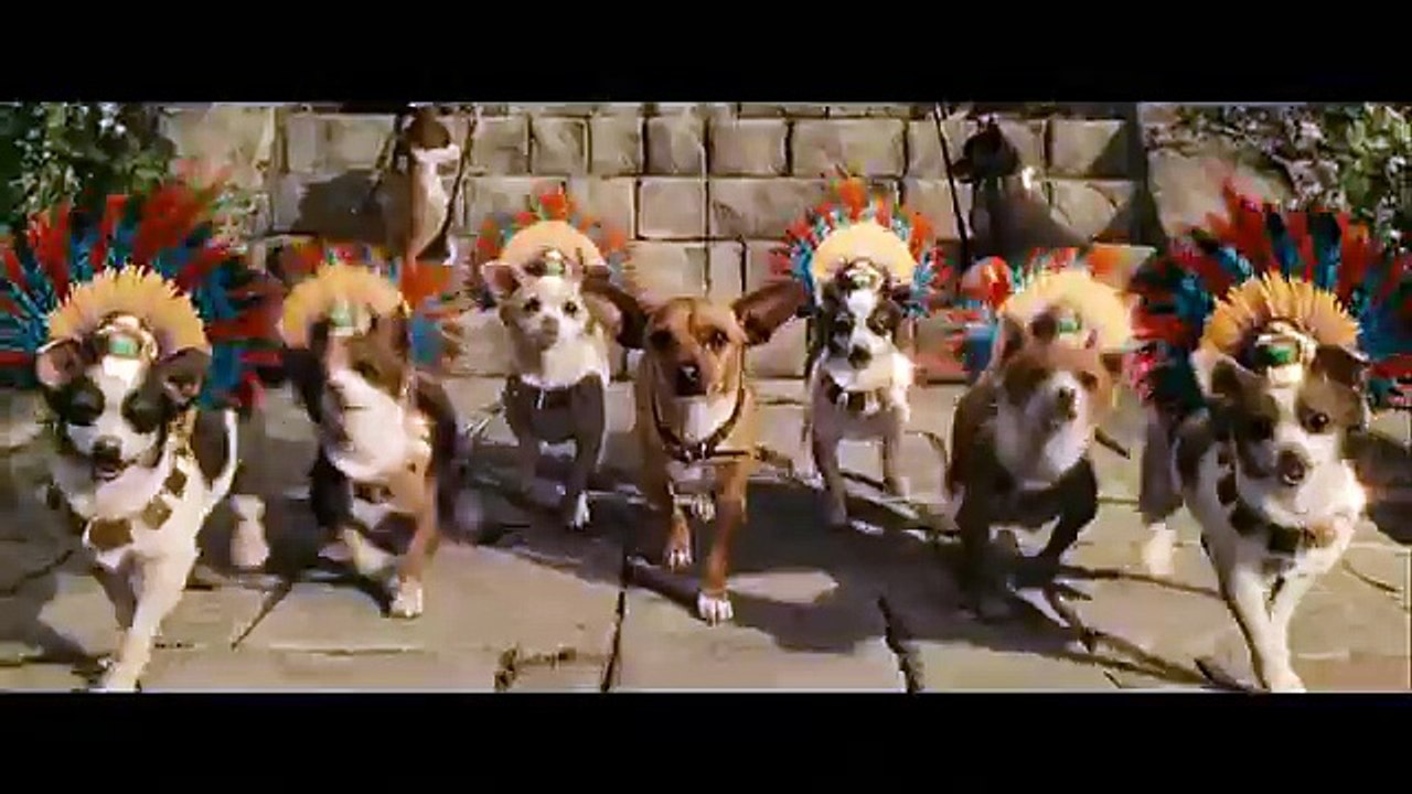 Le Chihuahua de Beverly Hills