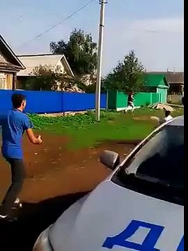 Веселая свадьба