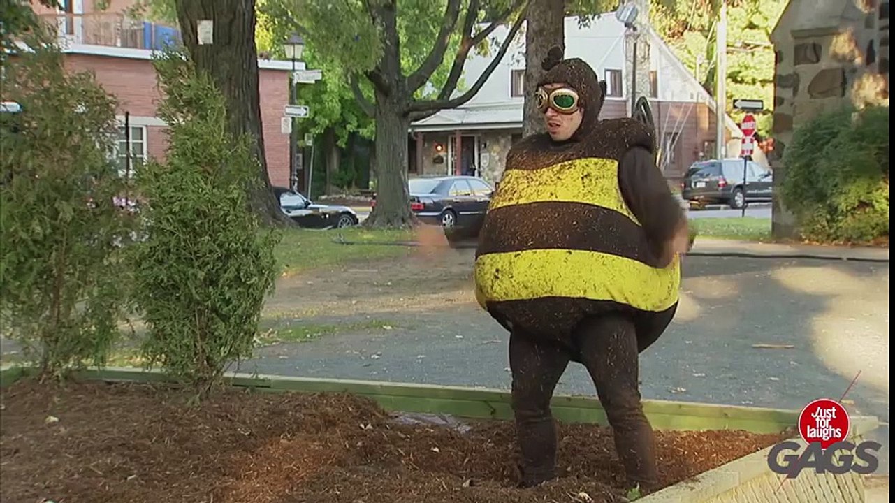 Giant Bee Prank