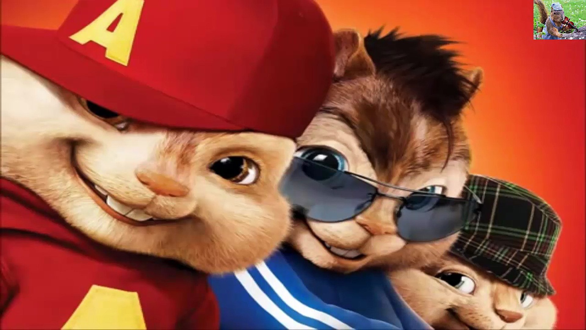 ⁣The most beautiful French song voice squirrels