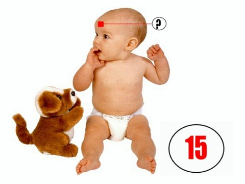 Imagiers - Exercices - Le corps