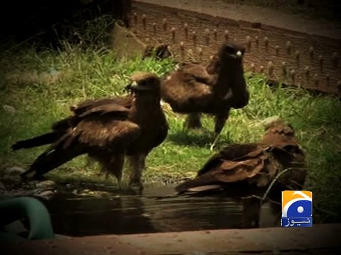 Weather remained hot in Karachi today -23 April 2016