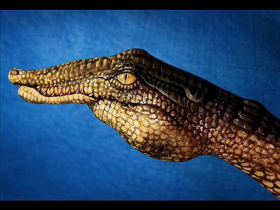 the hand in the best gaming video