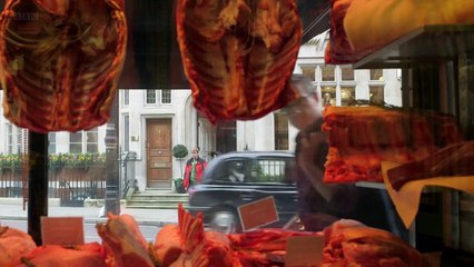 Удивительный мир крови (2016)