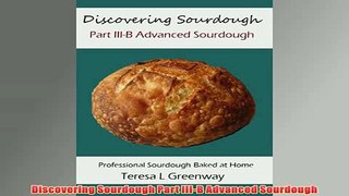 Free   Discovering Sourdough Part IIIB Advanced Sourdough Read Download