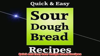 Free   Quick and Easy Sour Dough Bread Recipes Read Download