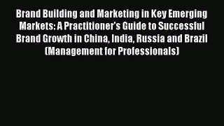Download Brand Building and Marketing in Key Emerging Markets: A Practitioner's Guide to Successful