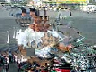 Salu Wheeler: Renowned Figure in the Community