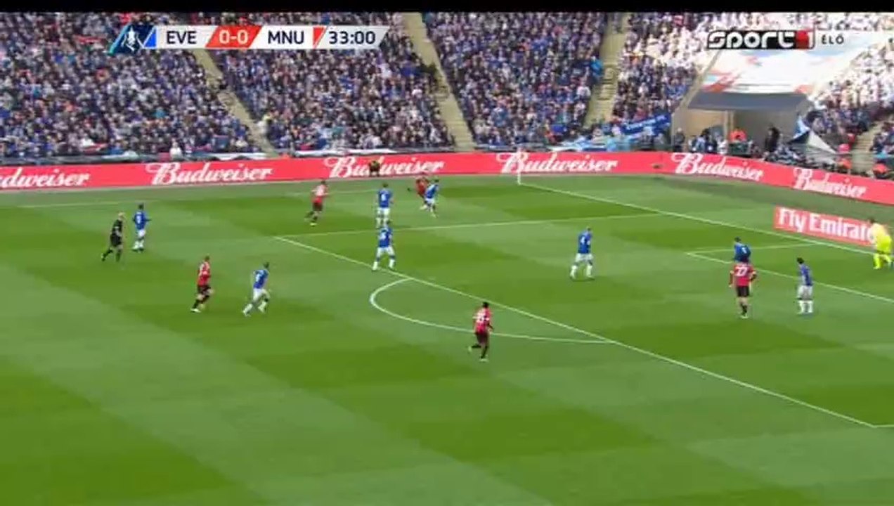 Marouane Fellaini GOAL (0:1) - Everton vs Manchester United 23/4/2016