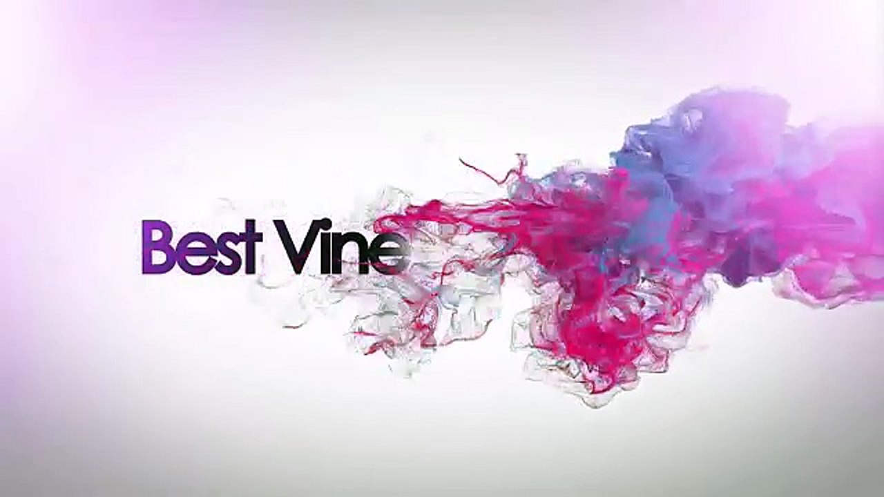 I am the One Vine Compilation Part 2 - Best Vine Compilation