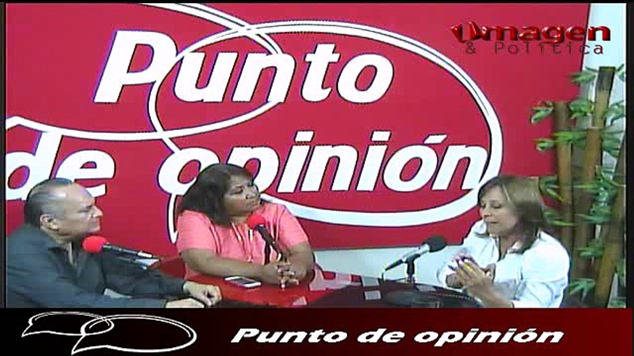 Punto de opinion 22 ABRIL2016