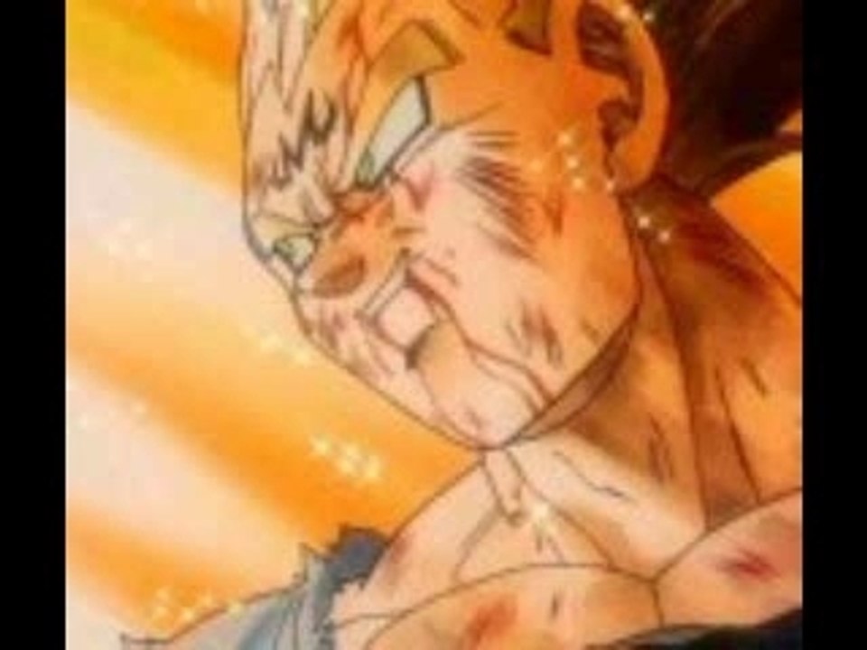 The life of the sayen