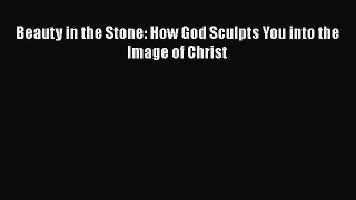 Book Beauty in the Stone: How God Sculpts You into the Image of Christ Read Full Ebook