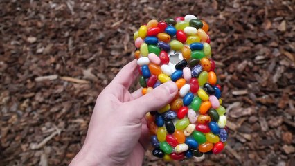 Can Jelly Belly Beans Protect an iPhone 6S from 100 FT Drop Test?