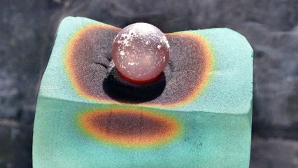 GLOB Floral Foam Oasis