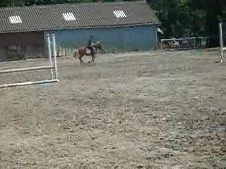 parcours de CSO pour le champion de france