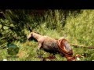 I really need to learn how to stop setting fire to myself. Far Cry Primal ep 3