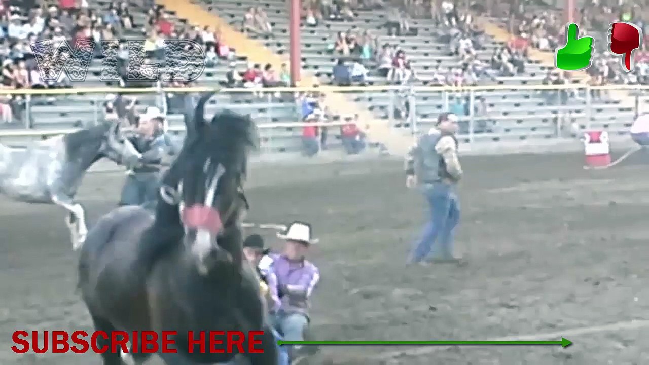 WILD HORSE RACING