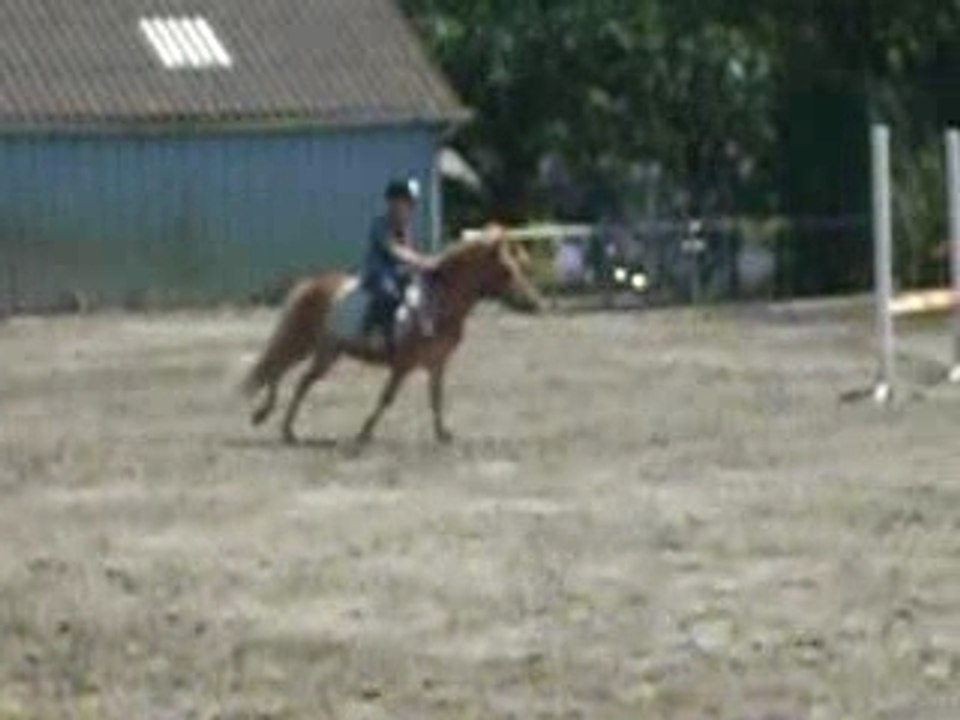 petit saut pour le grand champion de france