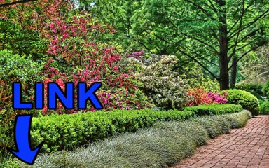 Nobunaga's Ambition: Souzou with Power Up Kit key generator gratuit 2016 telecharger