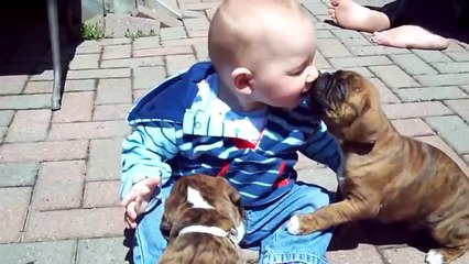 Babies & Puppies - Playing Together Cute Compilation 2015
