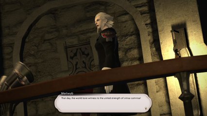 FINAL FANTASY XIV horrible dialogue 101