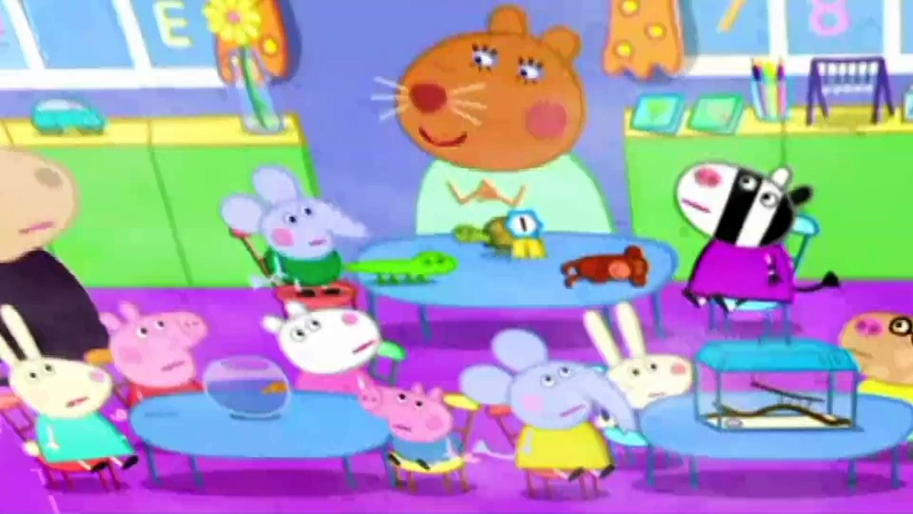 New Peppa Pig Episodes || The Pet Competitio - Spider Web