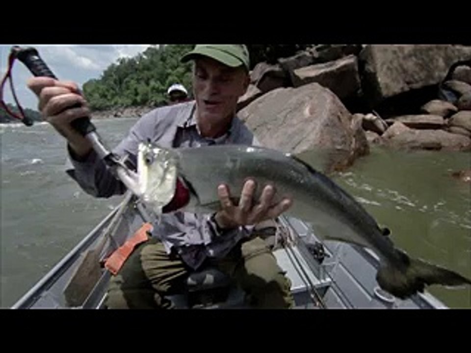 The Payara - River Monsters