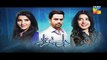 Dil E Beqarar Episode 3 Promo HUM TV Drama 20 April 2016 -Dailymotion