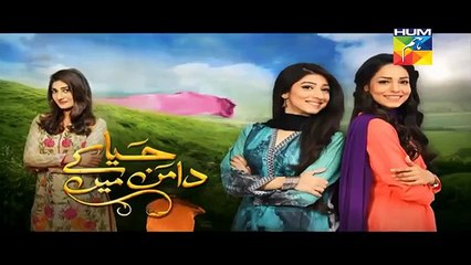 Haya Kay Daman Main Episode 18 Promo HUM TV Drama 21 April 2016 - Dailymotion