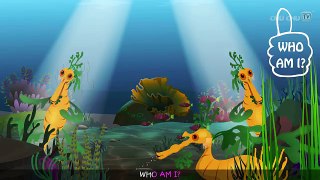 Leafy Sea Dragon Nursery Rhyme   ChuChuTV Sea World   Animal Songs & Nursery Rhymes For Children