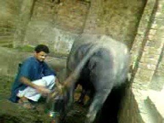 G Daar Funyy Clips 2017